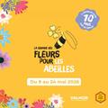 SEMAINES ABEILLES